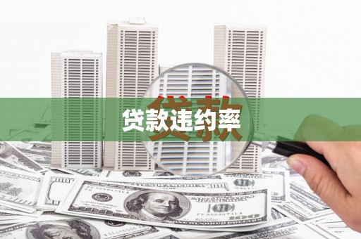 连云贷款违约率