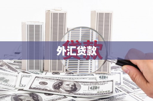 连云外汇贷款
