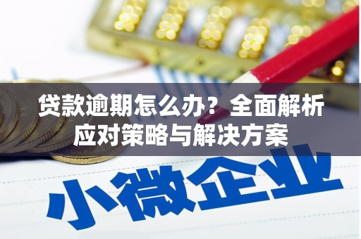 连云贷款逾期怎么办？全面解析应对策略与解决方案