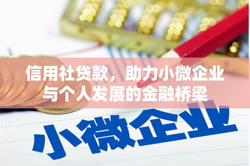 连云信用社贷款，助力小微企业与个人发展的金融桥梁