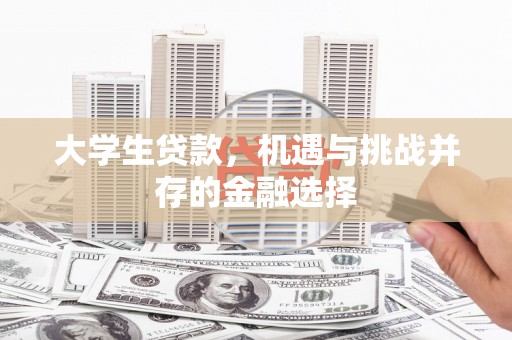 连云大学生贷款，机遇与挑战并存的金融选择