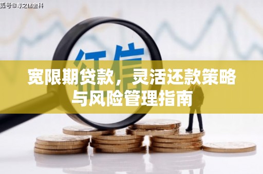 连云宽限期贷款，灵活还款策略与风险管理指南
