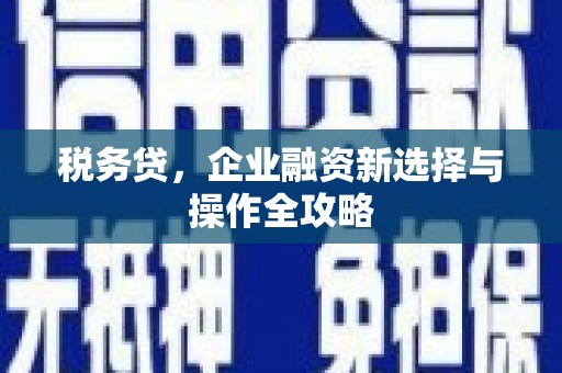 连云税务贷，企业融资新选择与操作全攻略