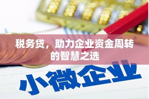 连云税务贷，助力企业资金周转的智慧之选