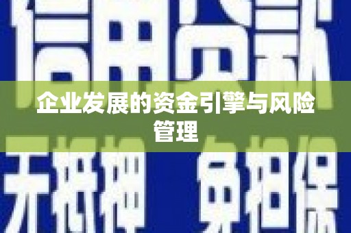 连云企业发展的资金引擎与风险管理