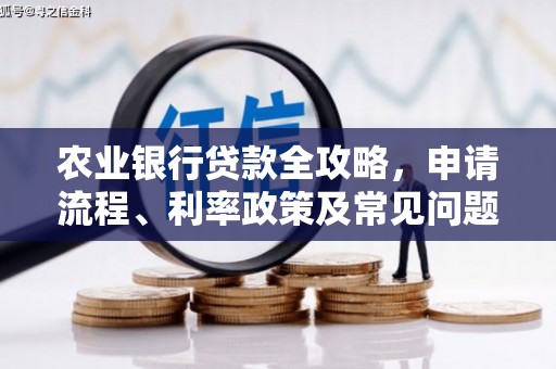 连云农业银行贷款全攻略，申请流程、利率政策及常见问题解析