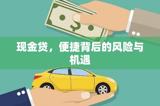 连云现金贷，便捷背后的风险与机遇