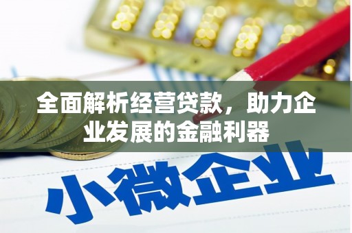 连云全面解析经营贷款，助力企业发展的金融利器