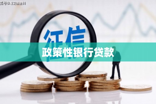 连云政策性银行贷款