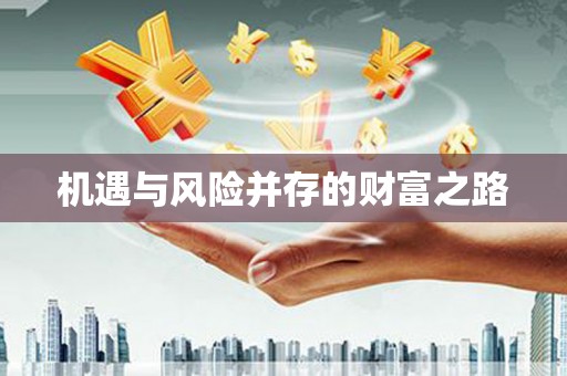 连云机遇与风险并存的财富之路