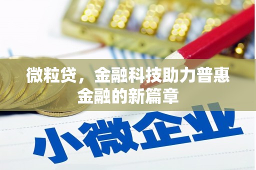 连云微粒贷，金融科技助力普惠金融的新篇章