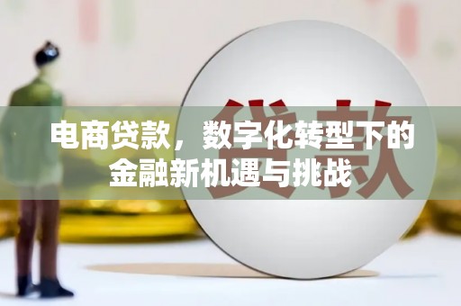 连云电商贷款，数字化转型下的金融新机遇与挑战