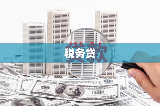 连云税务贷