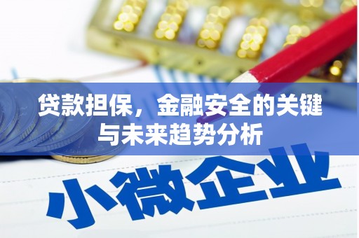 连云贷款担保，金融安全的关键与未来趋势分析