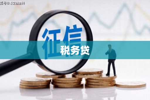 连云税务贷