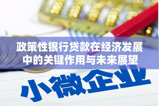 连云政策性银行贷款在经济发展中的关键作用与未来展望
