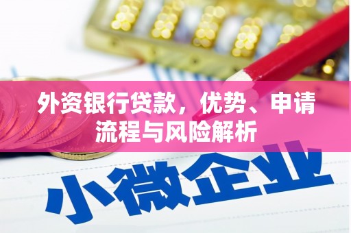 连云外资银行贷款，优势、申请流程与风险解析
