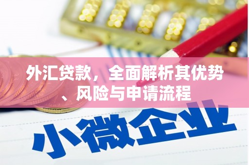 连云外汇贷款，全面解析其优势、风险与申请流程
