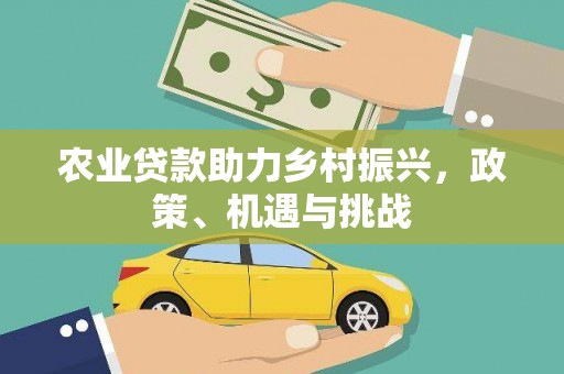 连云农业贷款助力乡村振兴，政策、机遇与挑战
