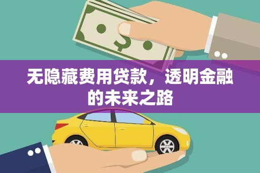 连云无隐藏费用贷款，透明金融的未来之路