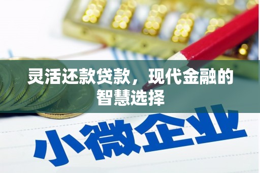 连云灵活还款贷款，现代金融的智慧选择