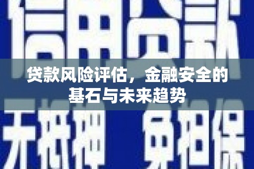 连云贷款风险评估，金融安全的基石与未来趋势