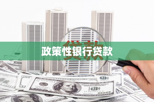 连云政策性银行贷款