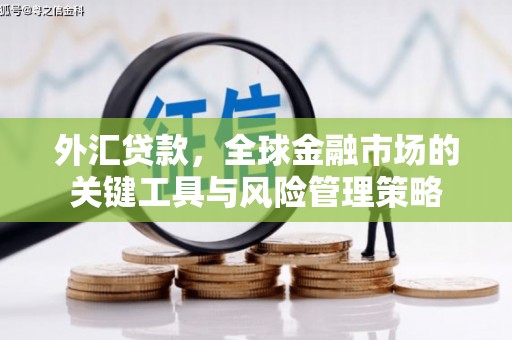 连云外汇贷款，全球金融市场的关键工具与风险管理策略