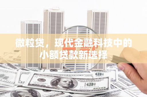 连云微粒贷，现代金融科技中的小额贷款新选择