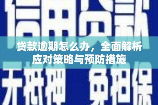 连云贷款逾期怎么办，全面解析应对策略与预防措施