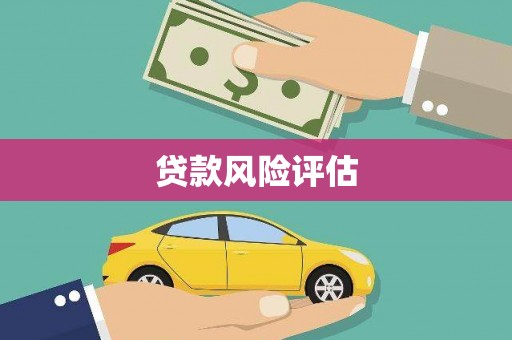 连云贷款风险评估