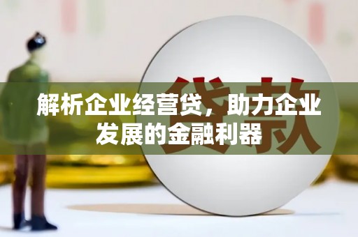 连云解析企业经营贷，助力企业发展的金融利器