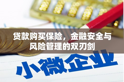连云贷款购买保险，金融安全与风险管理的双刃剑