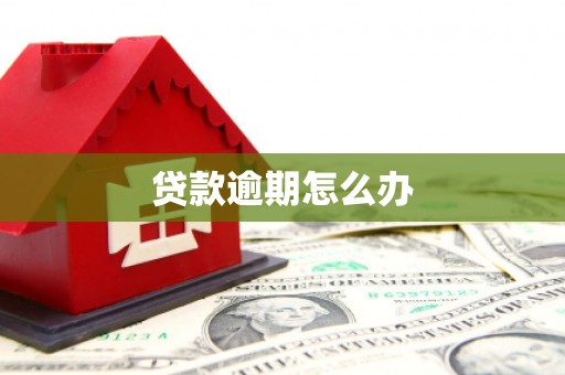 连云贷款逾期怎么办
