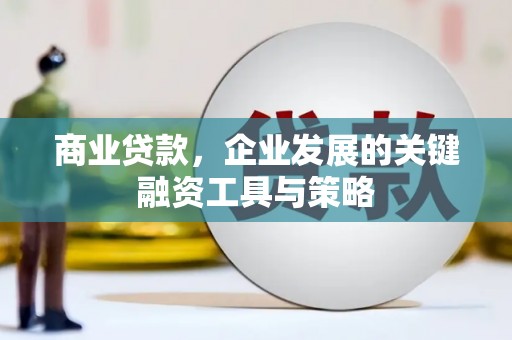 连云商业贷款，企业发展的关键融资工具与策略