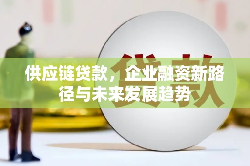 连云供应链贷款，企业融资新路径与未来发展趋势