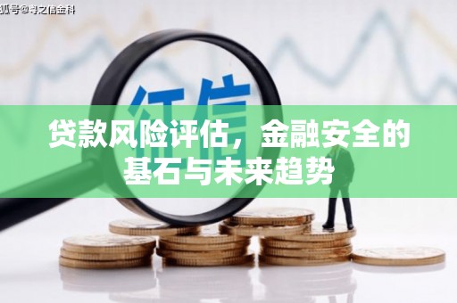 连云贷款风险评估，金融安全的基石与未来趋势