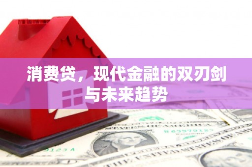 连云消费贷，现代金融的双刃剑与未来趋势