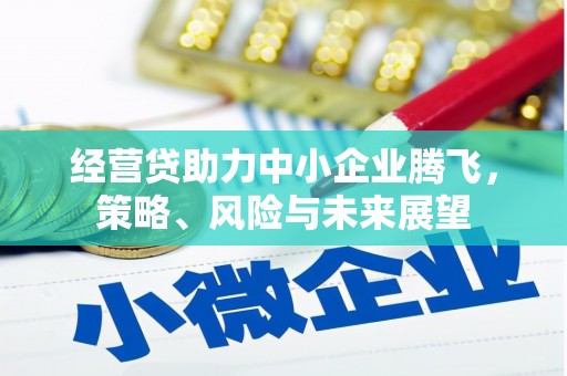 连云经营贷助力中小企业腾飞，策略、风险与未来展望