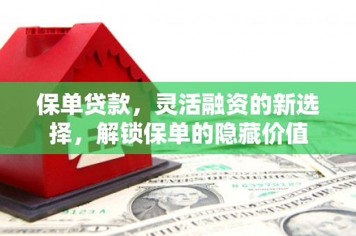 连云保单贷款，灵活融资的新选择，解锁保单的隐藏价值