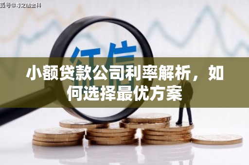 连云小额贷款公司利率解析，如何选择最优方案