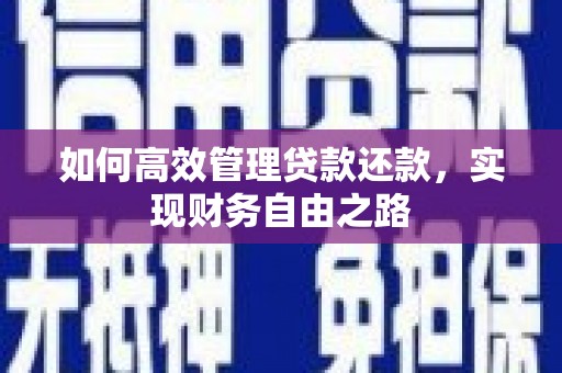 连云如何高效管理贷款还款，实现财务自由之路