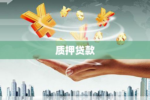连云质押贷款