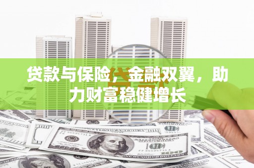 连云贷款与保险，金融双翼，助力财富稳健增长