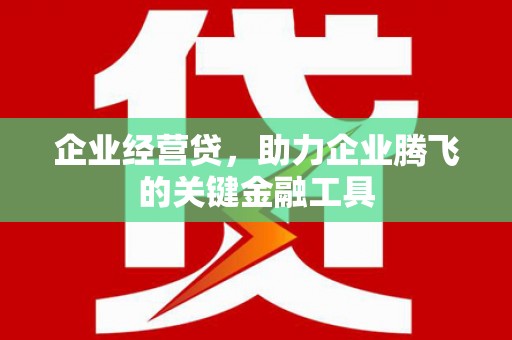 连云企业经营贷，助力企业腾飞的关键金融工具