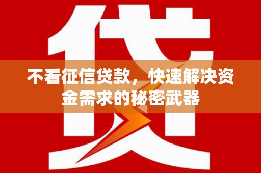 连云不看征信贷款，快速解决资金需求的秘密武器