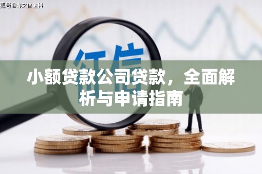 连云小额贷款公司贷款，全面解析与申请指南