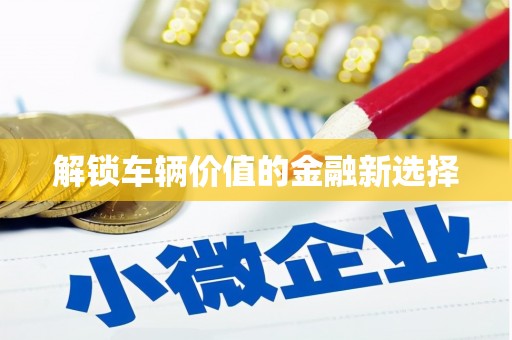 连云解锁车辆价值的金融新选择