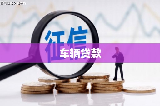 连云车辆贷款
