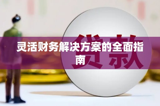 连云灵活财务解决方案的全面指南